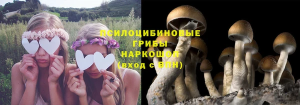 дживик Нязепетровск