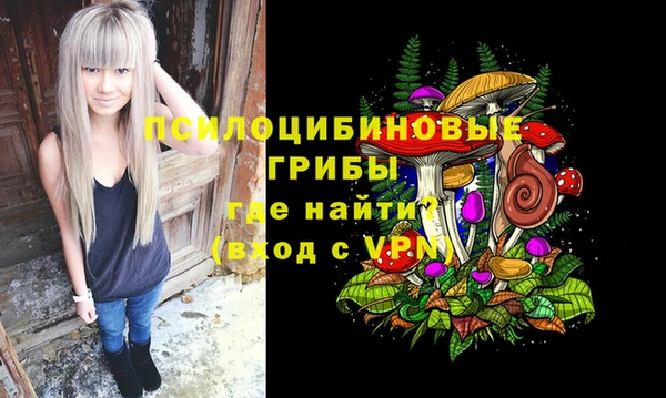 стафф Бронницы