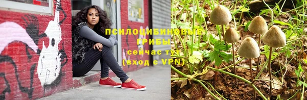 дмт Архангельск